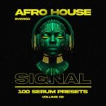 Afro House Serum Presets 2